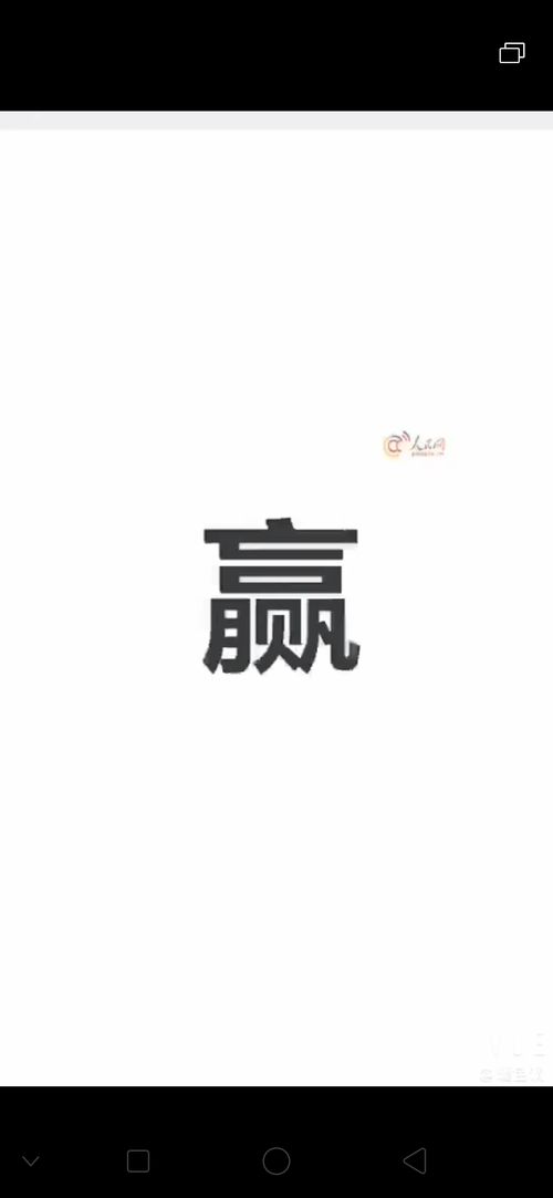 将就是什么意思