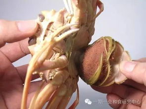 外子和内子是什么意思，外字开头的四字成语