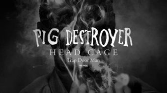 destroyer什么牌子，destroyers翻译