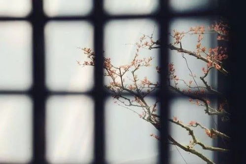 残春旅舍韩偓，残春旅舍2015全国卷