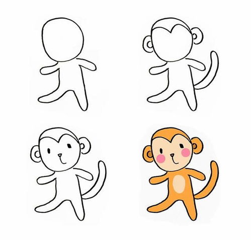 小猴子简笔画图片大全，小兔子简笔画