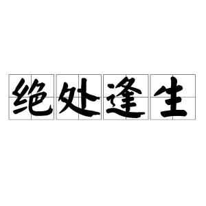 梦见自己绝处逢生是什么意思，绝处逢生是什么意思啊?