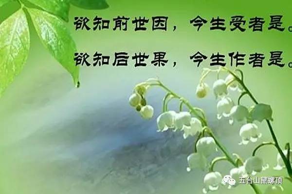 毁谤是什么意思
