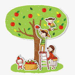 看图作文:采果子