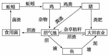 超载读音的拼音怎么写，载歌载舞为什么读三声