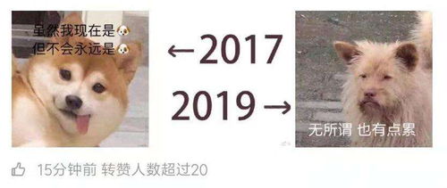 罢了罢了是什么心态，罢了的文言文