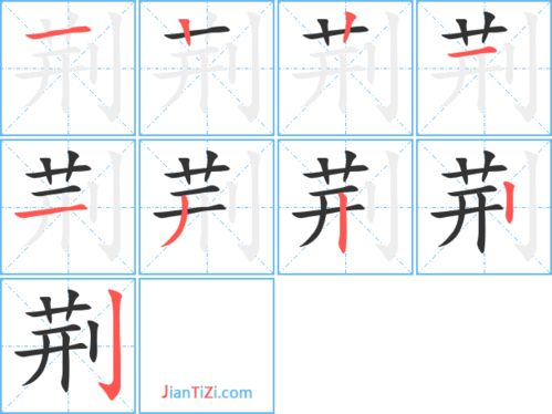 荆可以组什么词