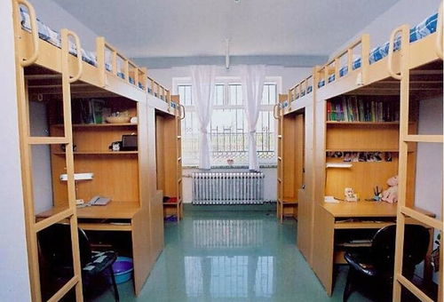 长春大学排名