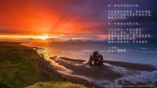 poem什么意思