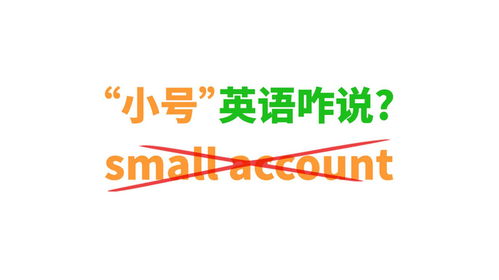 small用英语怎么说