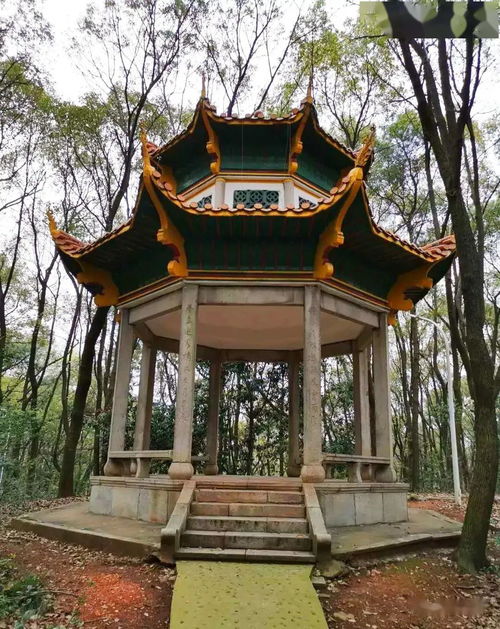 长亭连短亭上一句是什么意思，长亭连短亭还是长亭更短亭
