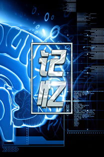 Memory是什么意思?