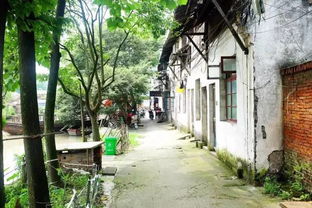山西省大同市广灵县属于哪个市