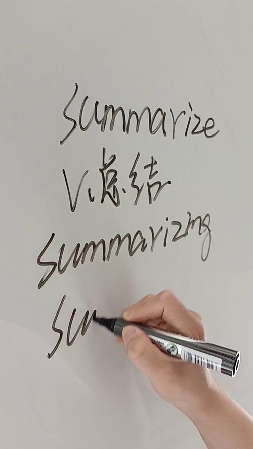 summarizer，summarize函数