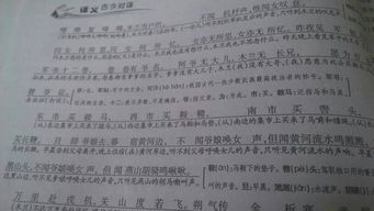 燕山胡骑的拼音是什么，燕山胡骑的胡骑是什么意思