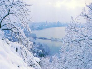 湖心亭看雪课件免费下载，湖心亭看雪课件七彩课堂