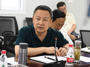 overseer是什么意思，overseer翻译