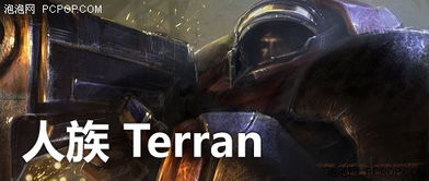terrans force笔记本，terranova
