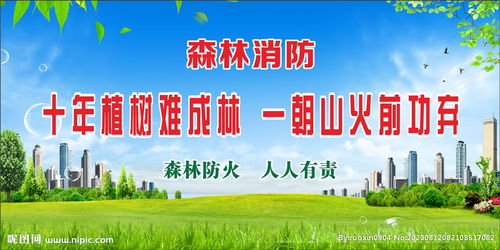 森林防火标语牌，宣传森林防火标语