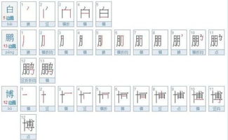 “博”字的笔画顺序怎么写?