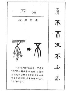 歪拼音，否定拼音
