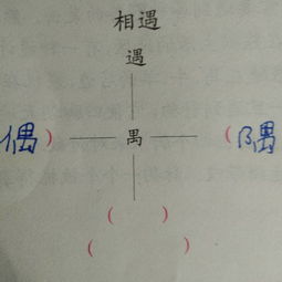 相遇的遇组词都有哪些，相遇的遇组词和拼音