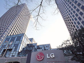 lg南京新能源，lg南京新能源法人长