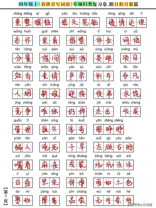 徐的拼音怎么写