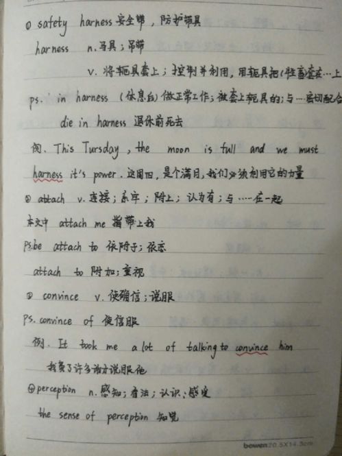 新学期畅想作文500字