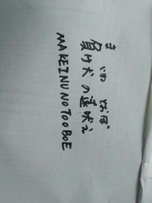 bark怎么读音发音 音标，bark怎么读什么意思