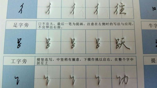 行笔顺怎么写，行笔顺拼音