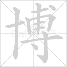 博笔画笔顺怎么写的，博笔画多少
