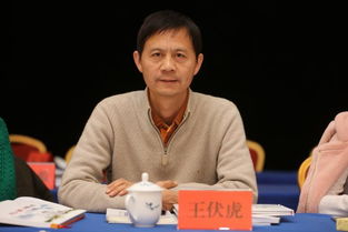 王伏虎为啥打不过火云邪神，王伏虎 总裁