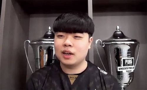 p|ayed是啥意思