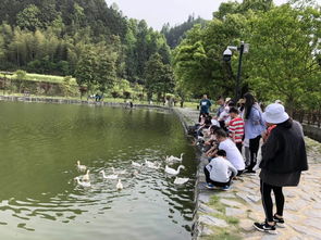 黟山，黟是什么意思