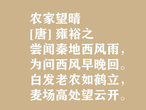 独具匠心的近义词和反义词，独具匠心的近反义词