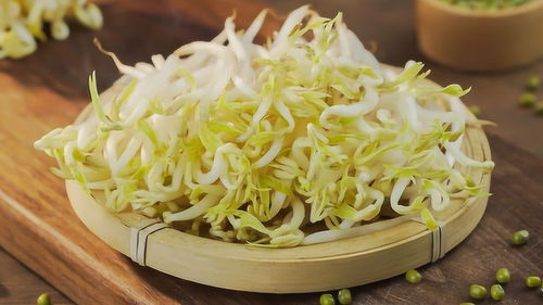 生豆芽的最佳方法
