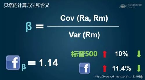 阿尔法是什么意思网络，小说里的欧米伽和阿尔法是什么意思