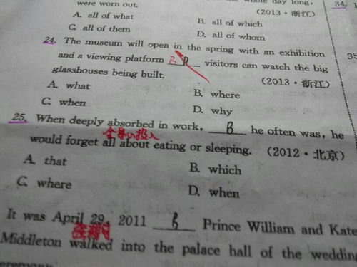 which造句小学，怎么用which造句