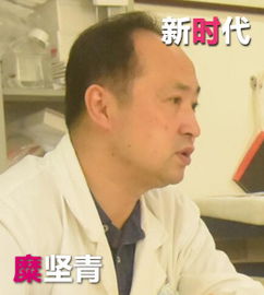 epochs是什么意思，epoch时间
