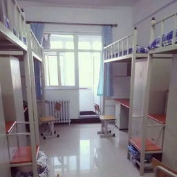 长春大学旅游学院，长春大学旅游学院学费