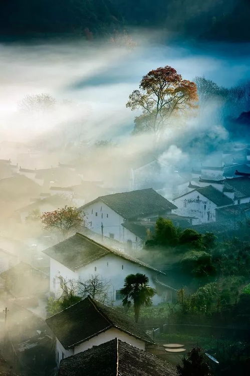 云在青天水在瓶全诗，云在青天水在瓶全诗译文