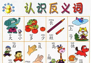 忐忑不安近义词