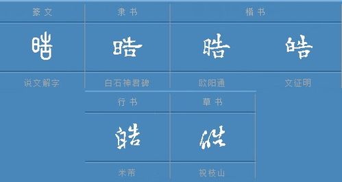 “晧”和“皓”怎么解释?在语文里有这个字吗?