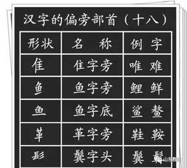 瓢部首是什么偏旁，瓢部首组词拼音