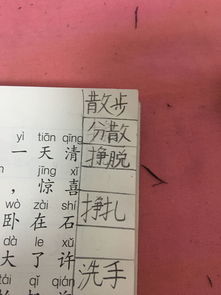 扎的组词都有哪些
