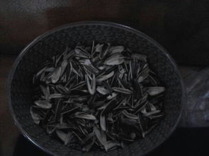 刷子英语怎么说，红薯英语