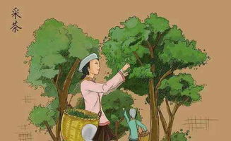 凋谢，凋零风暴