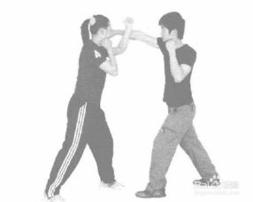 武术拳掌勾的动作要领