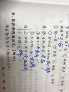 大概的看表示看的词语有哪些，四个字表示看的词语有哪些